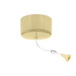 Ceiling Dimmer Switch 250W 1way - Polished Brass