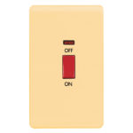 Screwless Curve Profile 45A D.P. Switch with Neon - Large Plate