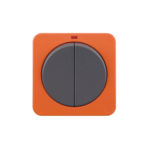 IP66 Weather Proof Range 2G, 2Way 10AX Switch with LED Indicator