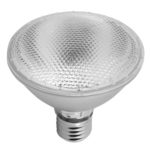 LED 13W PAR30 Bulb