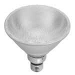 LED 15W PAR38 Bulb