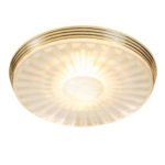 IP55 Bathroom Downlight