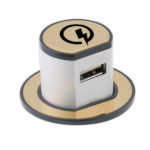 Mini Pop-Up USB Charger 3.1A Type A Qualcomm Quick Charge 2.0 - Polished Brass