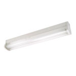 T8 Deluxe Fluorescent Light  with diffuser - 2x18W